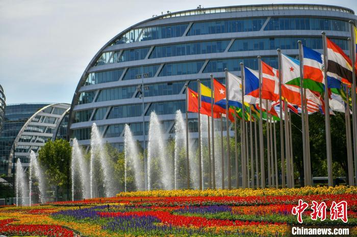 第五屆進博會場館景觀裝飾全面定妝。　陳夢澤 攝