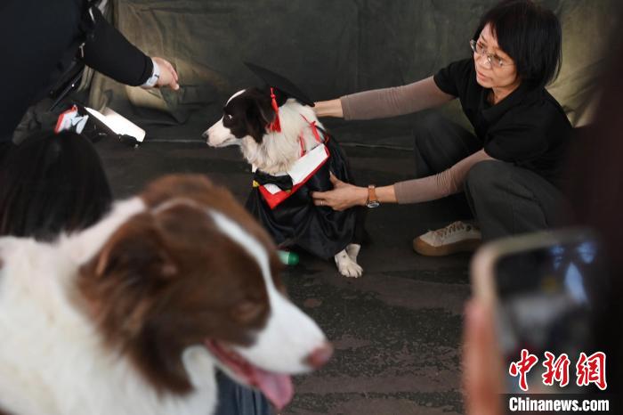 第六屆廣東省寵物文化節在廣州舉行